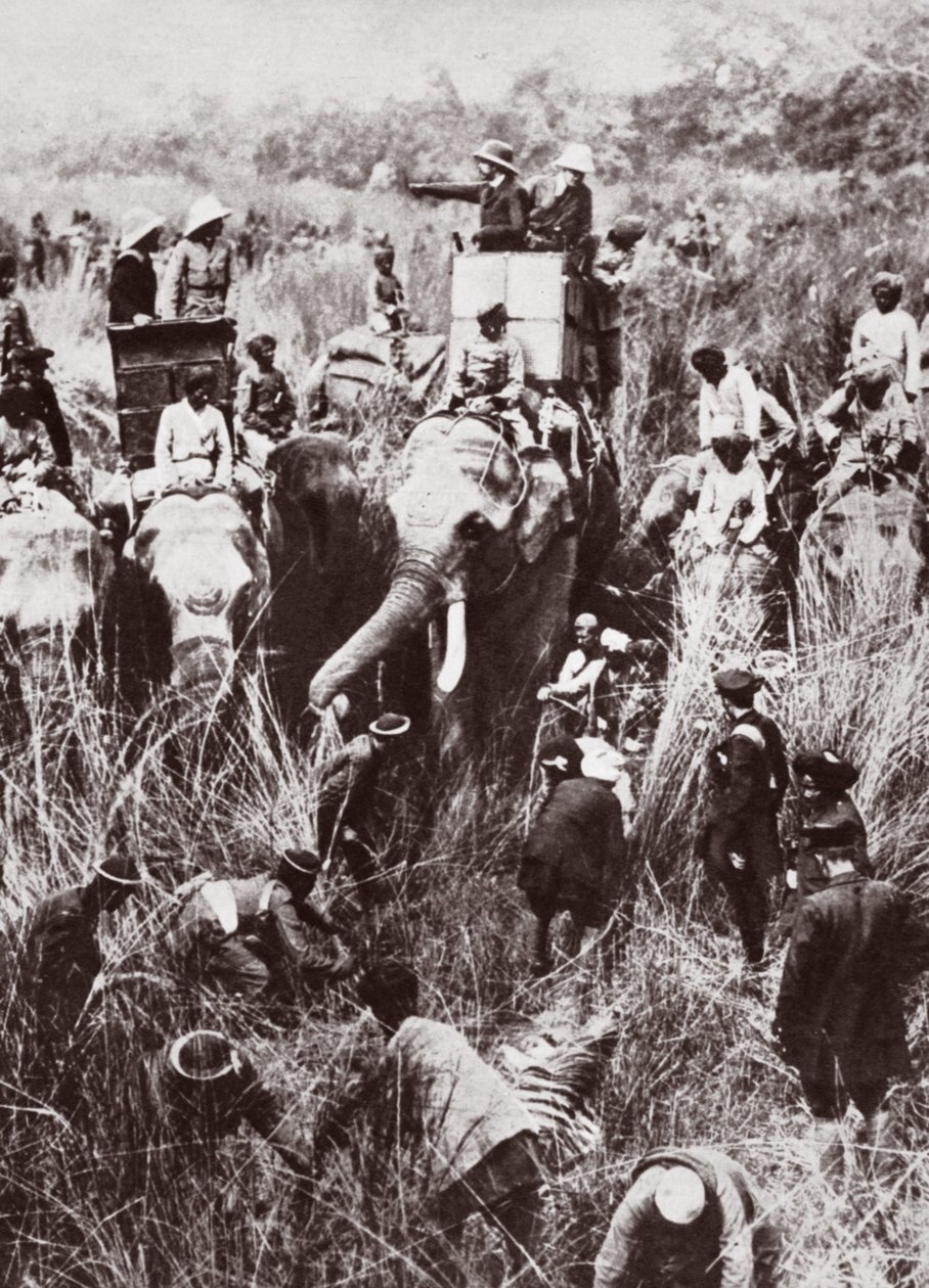 Le roi George chassant le tigre au Népal - English Photographer