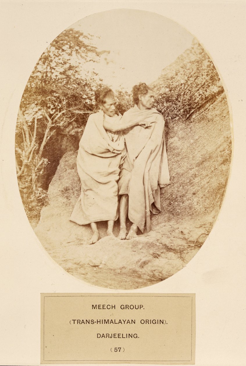 Groupe de Meech (origine trans-himalayenne), Darjeeling, de The People of India, par J. Forbes Watson, publié en 1868 - English Photographer