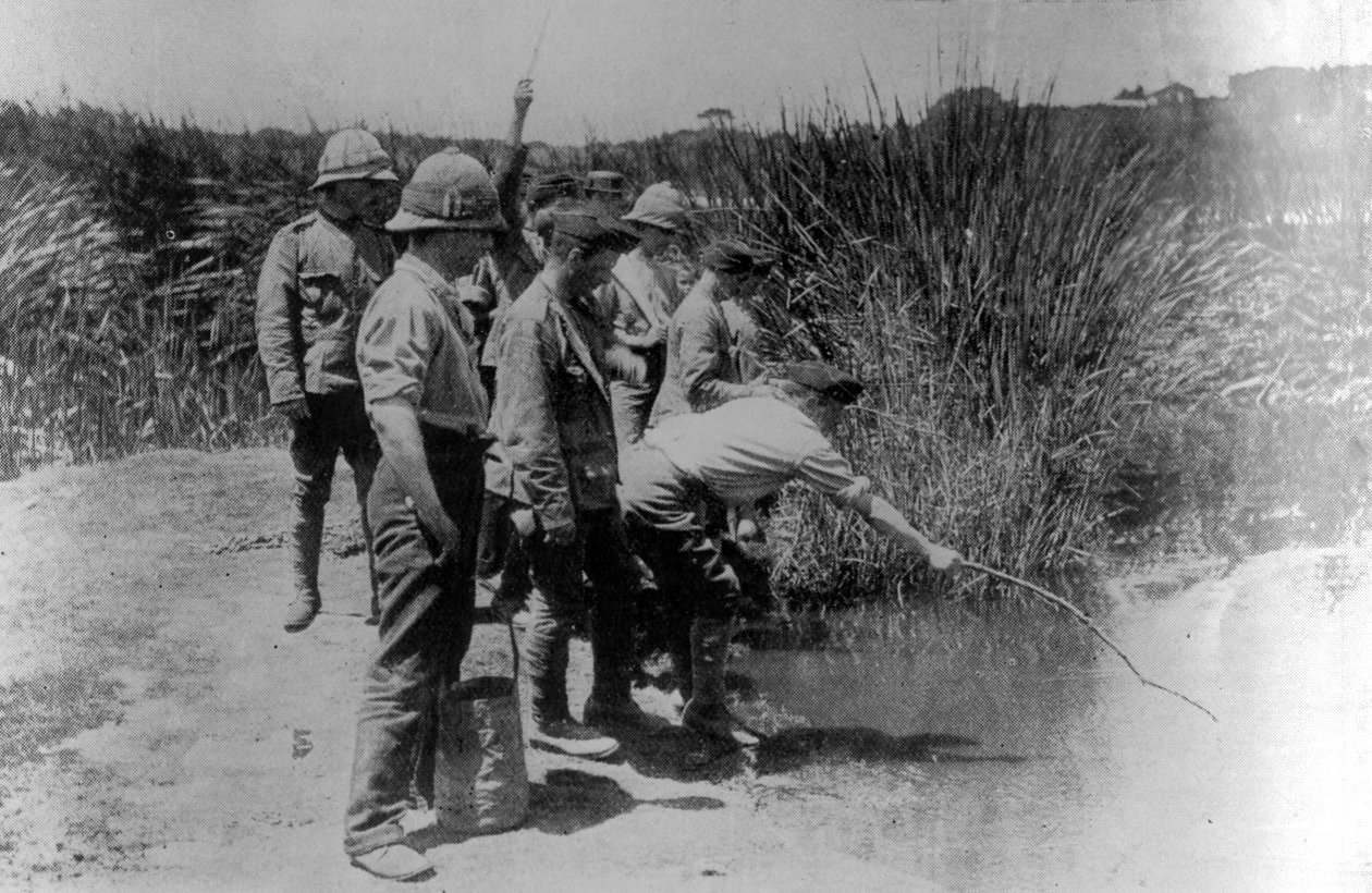 Soldats en repos pendant la Première Guerre mondiale, pêchant des épinoches - English Photographer