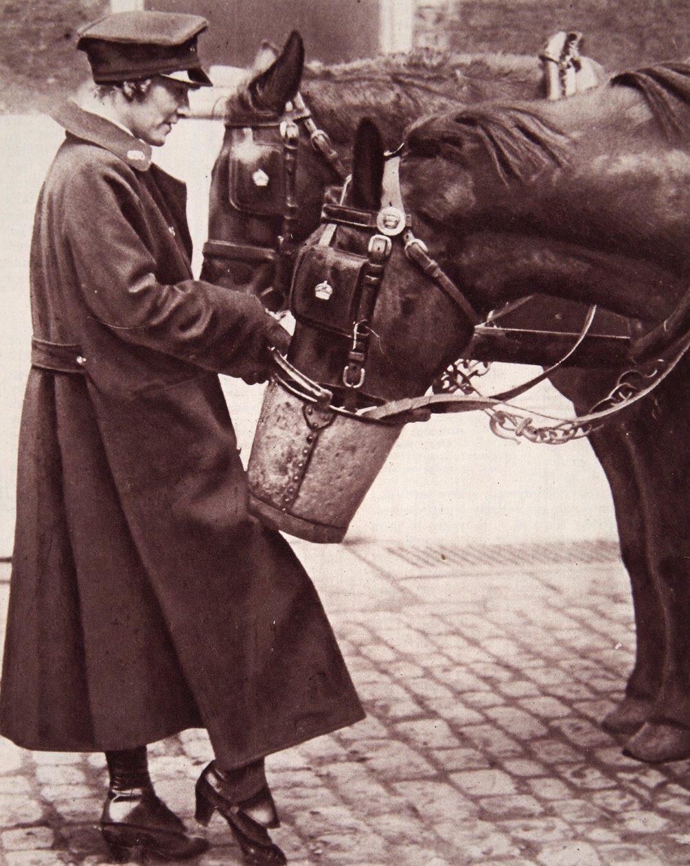 Travail pour les femmes ayant une connaissance des chevaux, illustration de The Illustrated War News, 7 mars 1917 - English Photographer