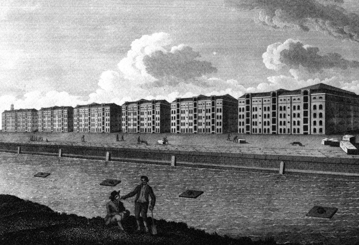 Vue des entrepôts et du West-India Dock, 1803 - English School