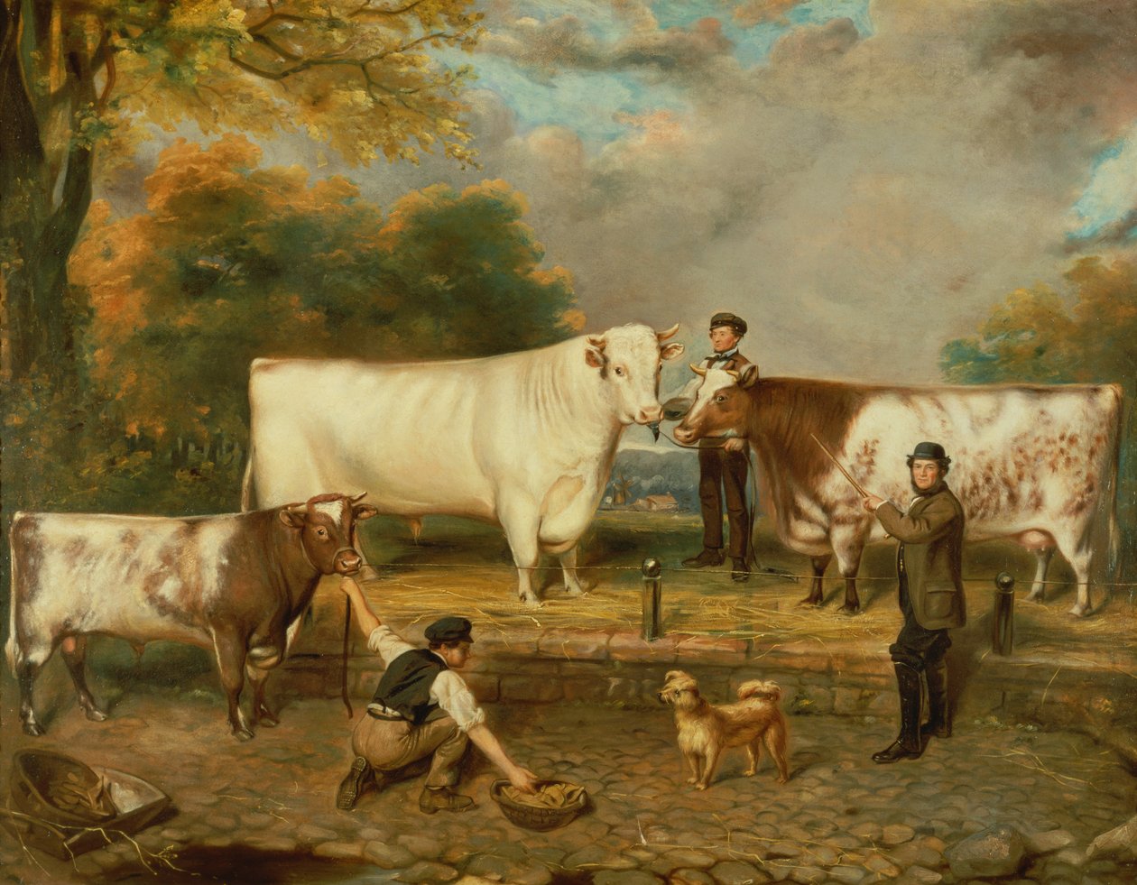 Vaches avec un berger - English School