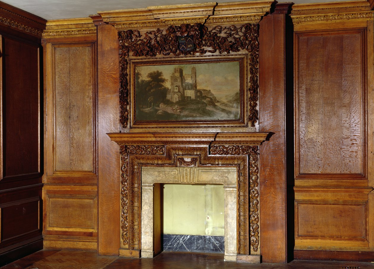 Panneaux et cheminée de l