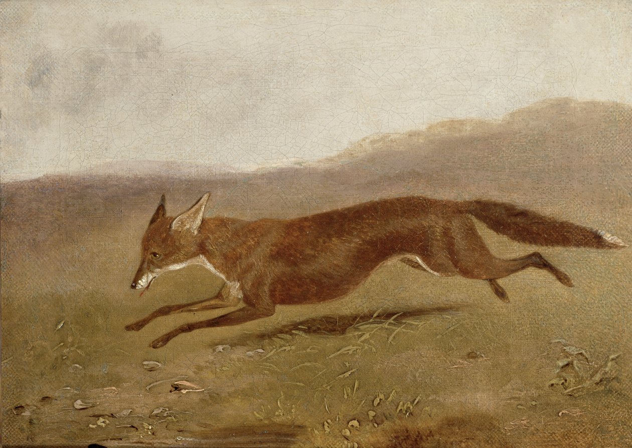 Le Renard - English School