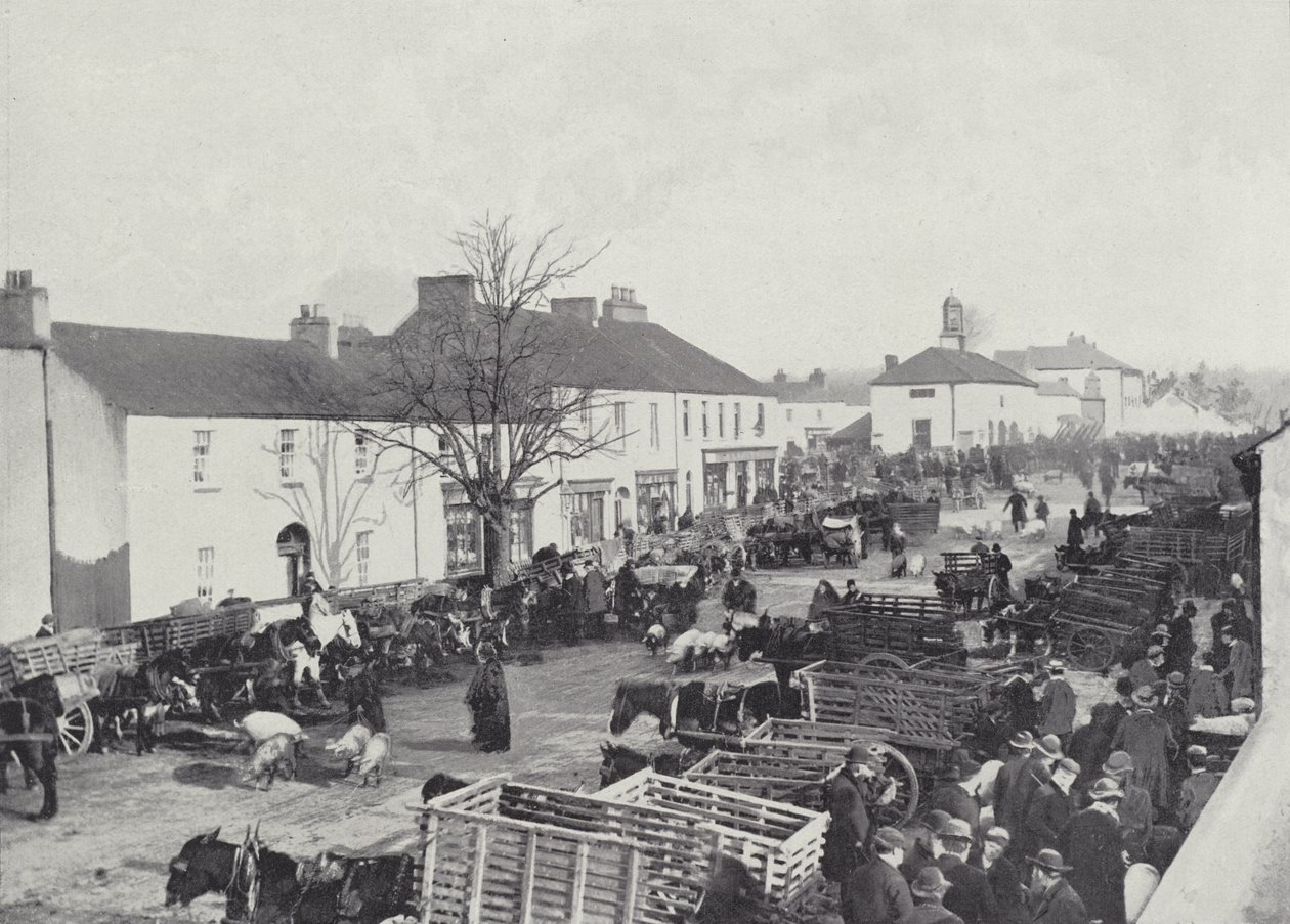 Jour de marché à Abbeyleix - English Photographer