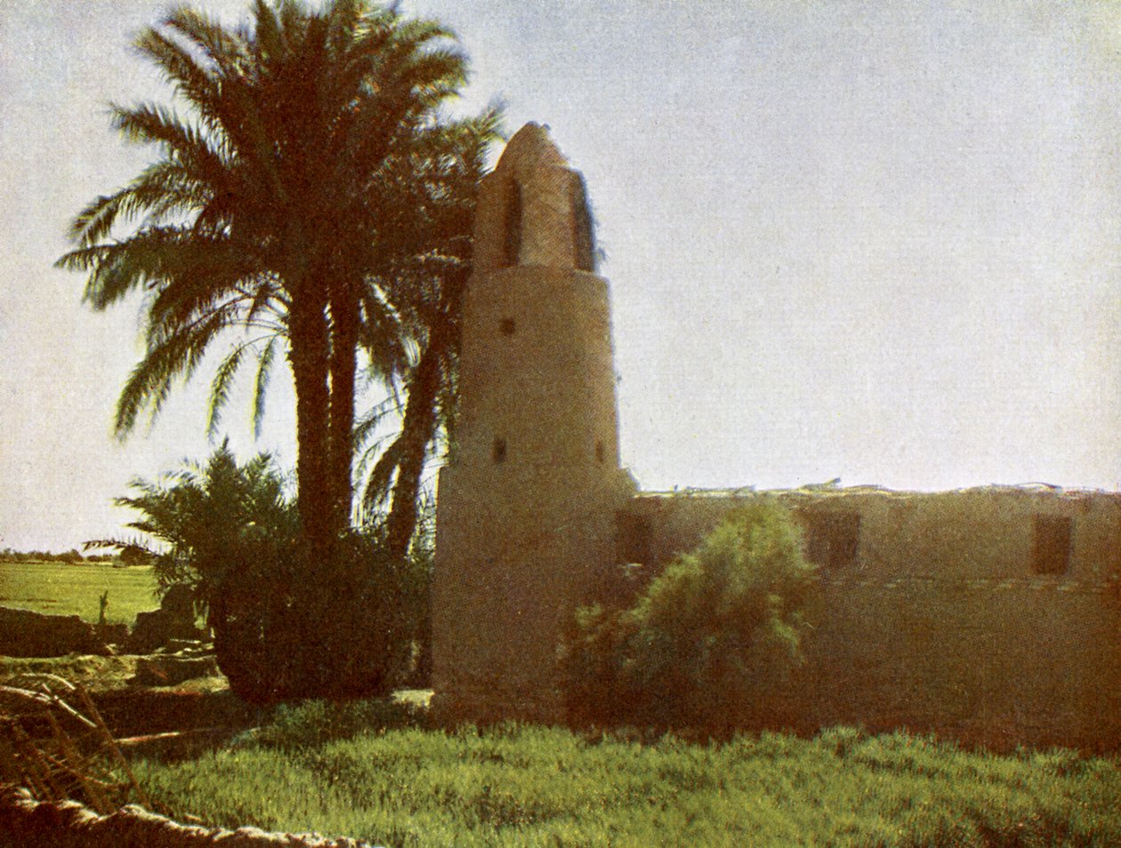 Mosquée à Medamut (banlieue de Thèbes) - English Photographer