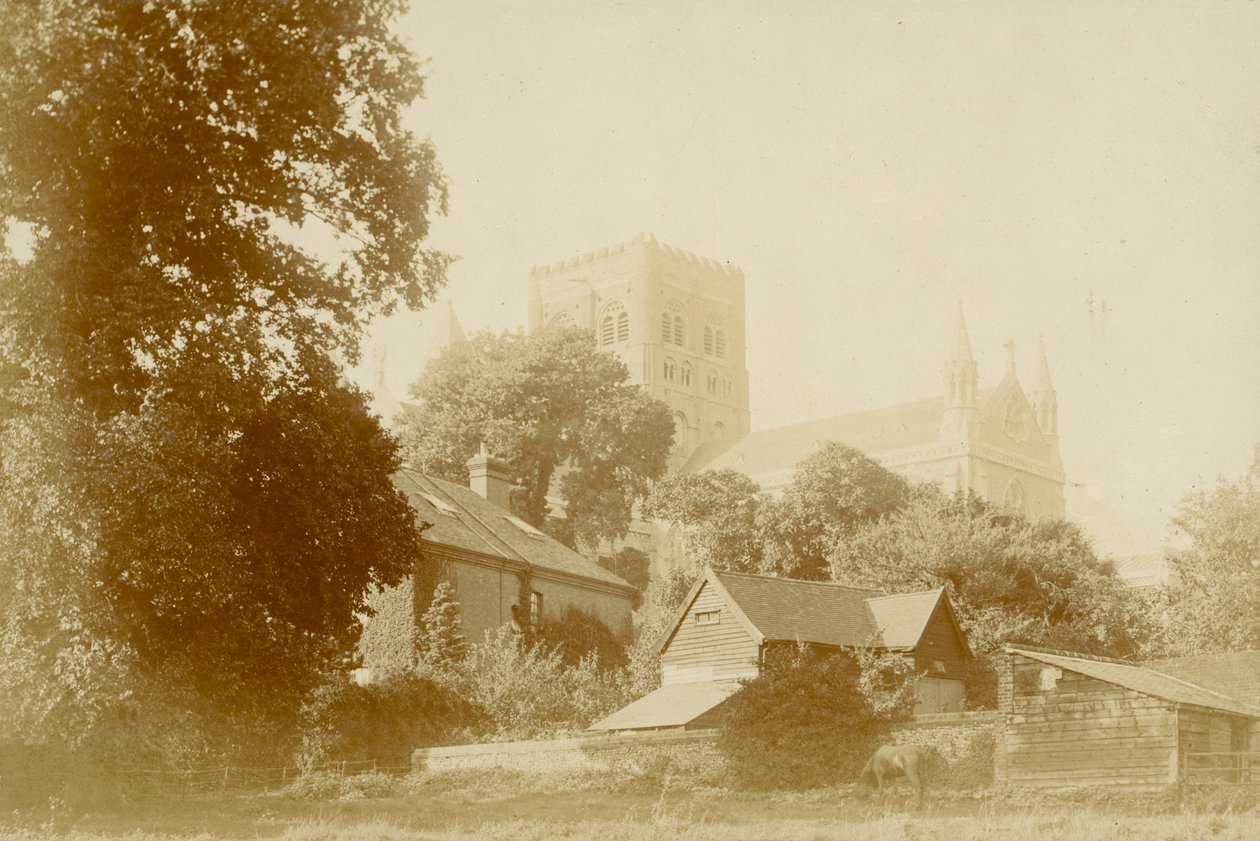 Abbaye de St Albans - English Photographer