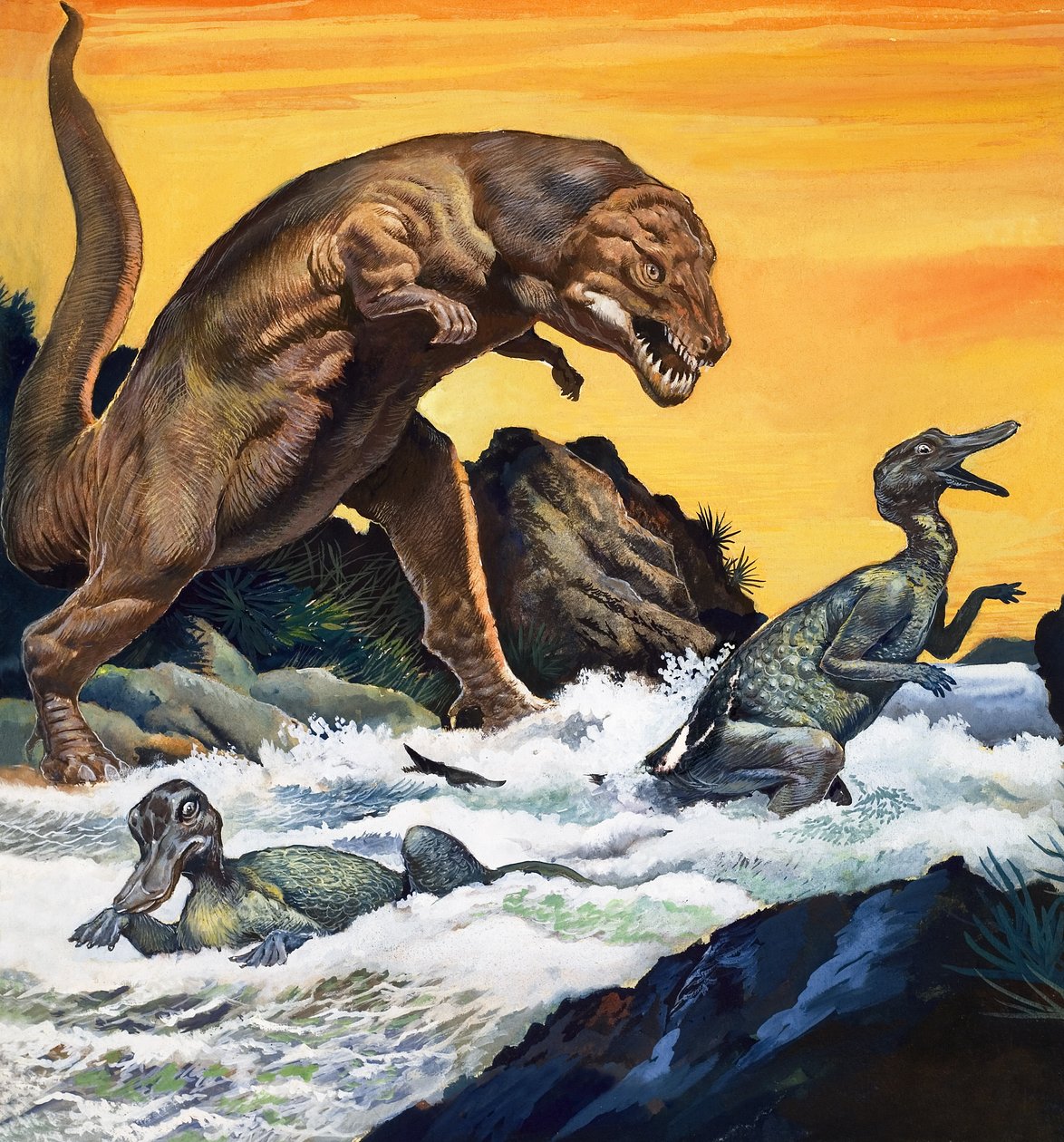 Tyrannosaurus Rex, extrait de "À la recherche des dinosaures". - English Photographer