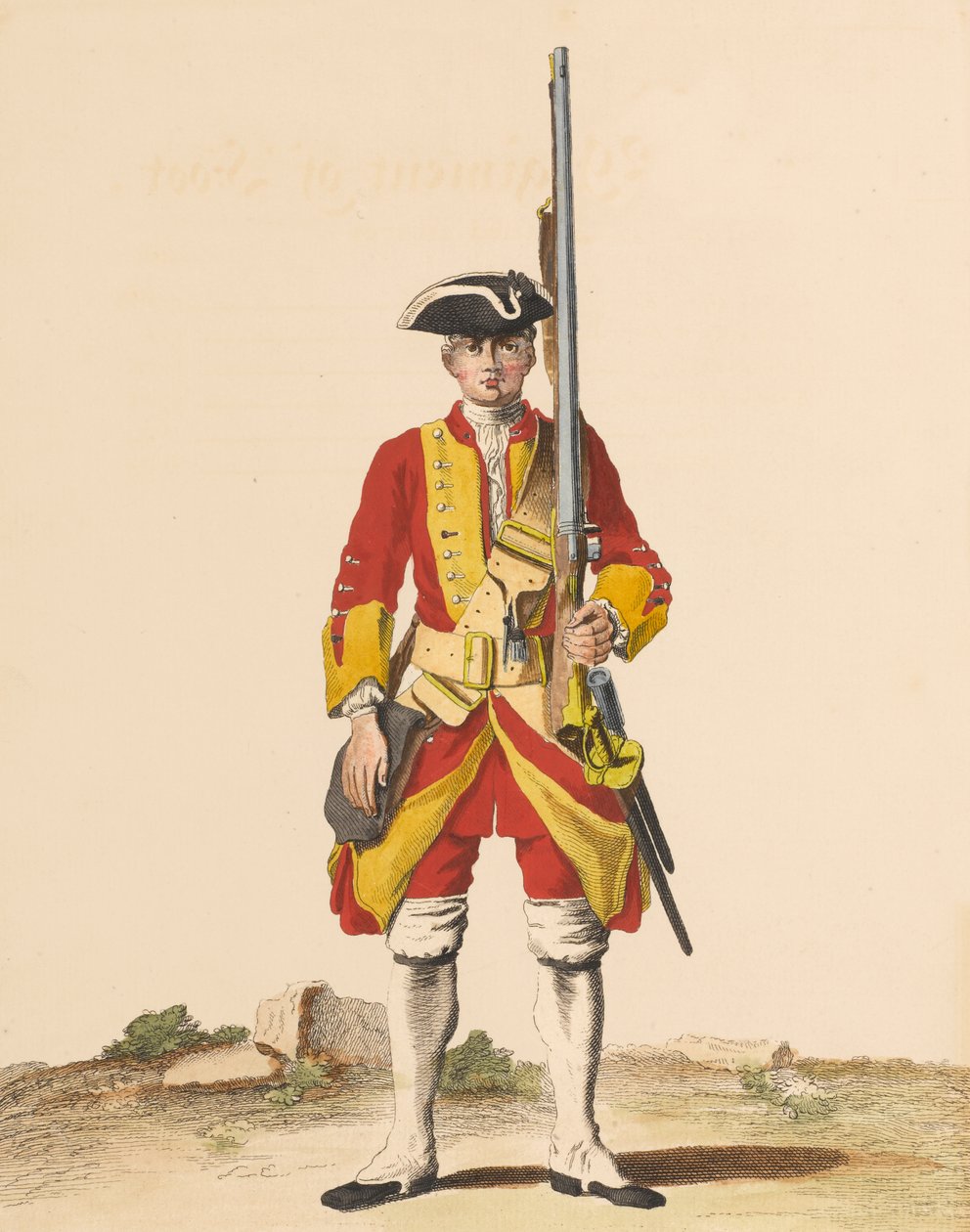 29e Régiment de pied, vers 1742 - English School
