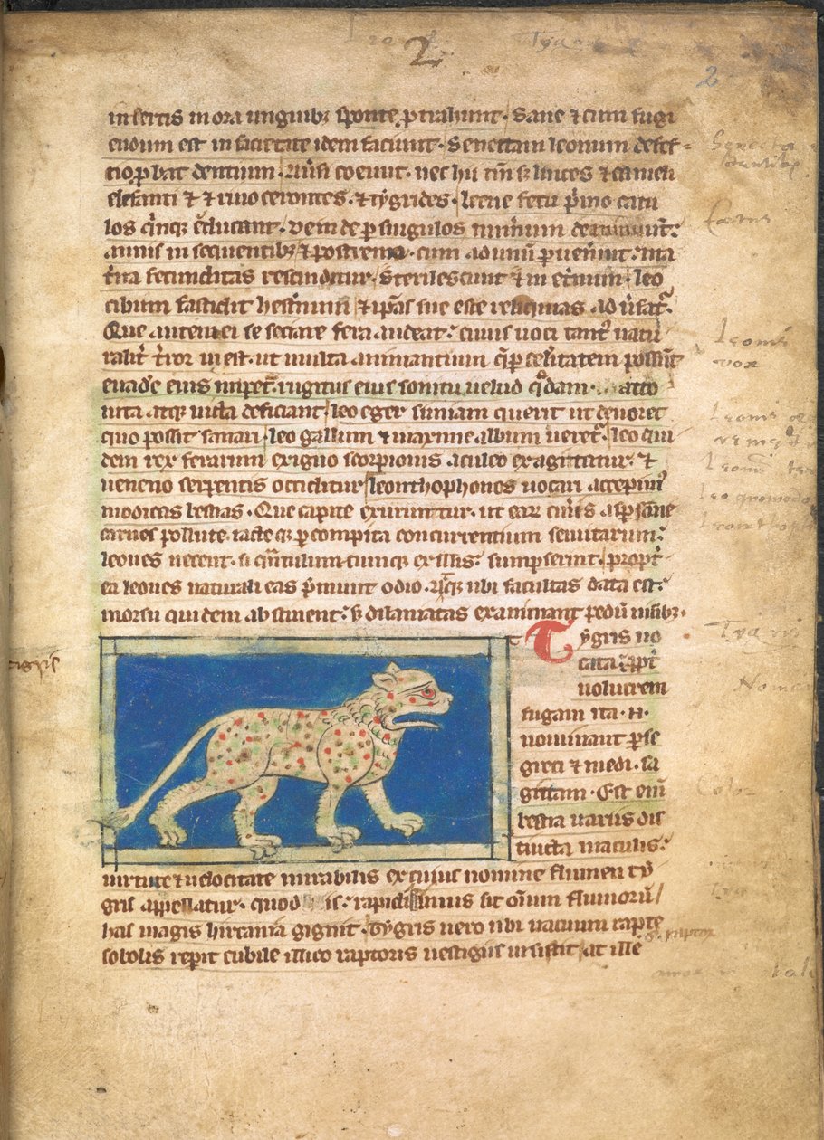 Un tigre, de Sloane 3544, f.2 - English School