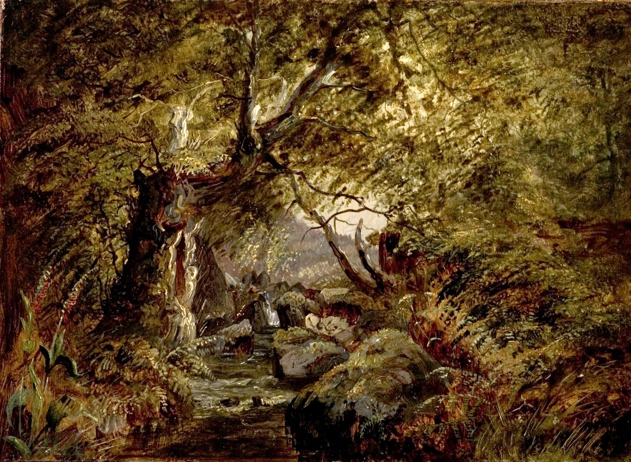 Un ruisseau en forêt - English School
