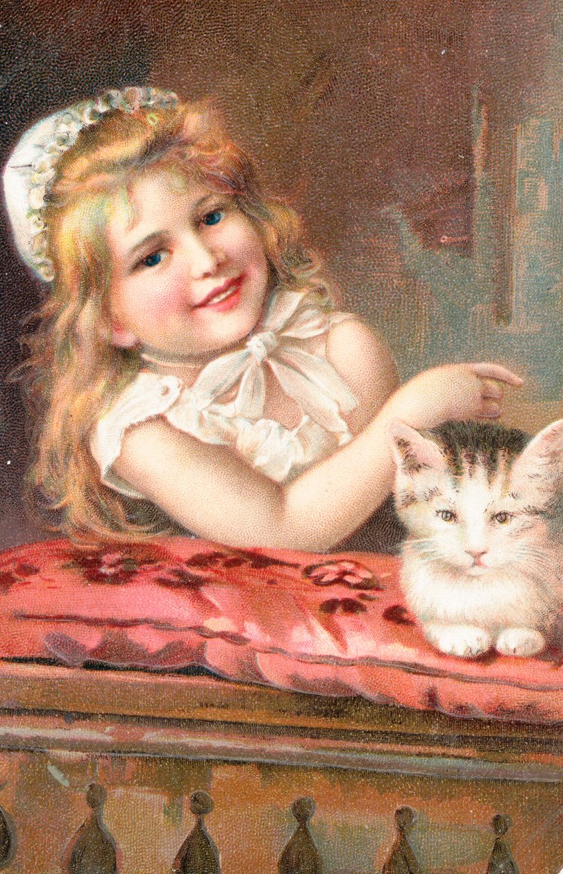 Une jeune fille posant avec un chat - English School