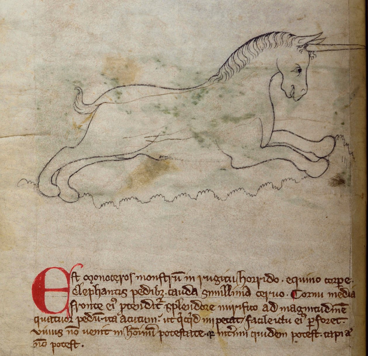 CCA-LitMs/D/10 fol. 2v Monocéros, du Bestiaire - English School