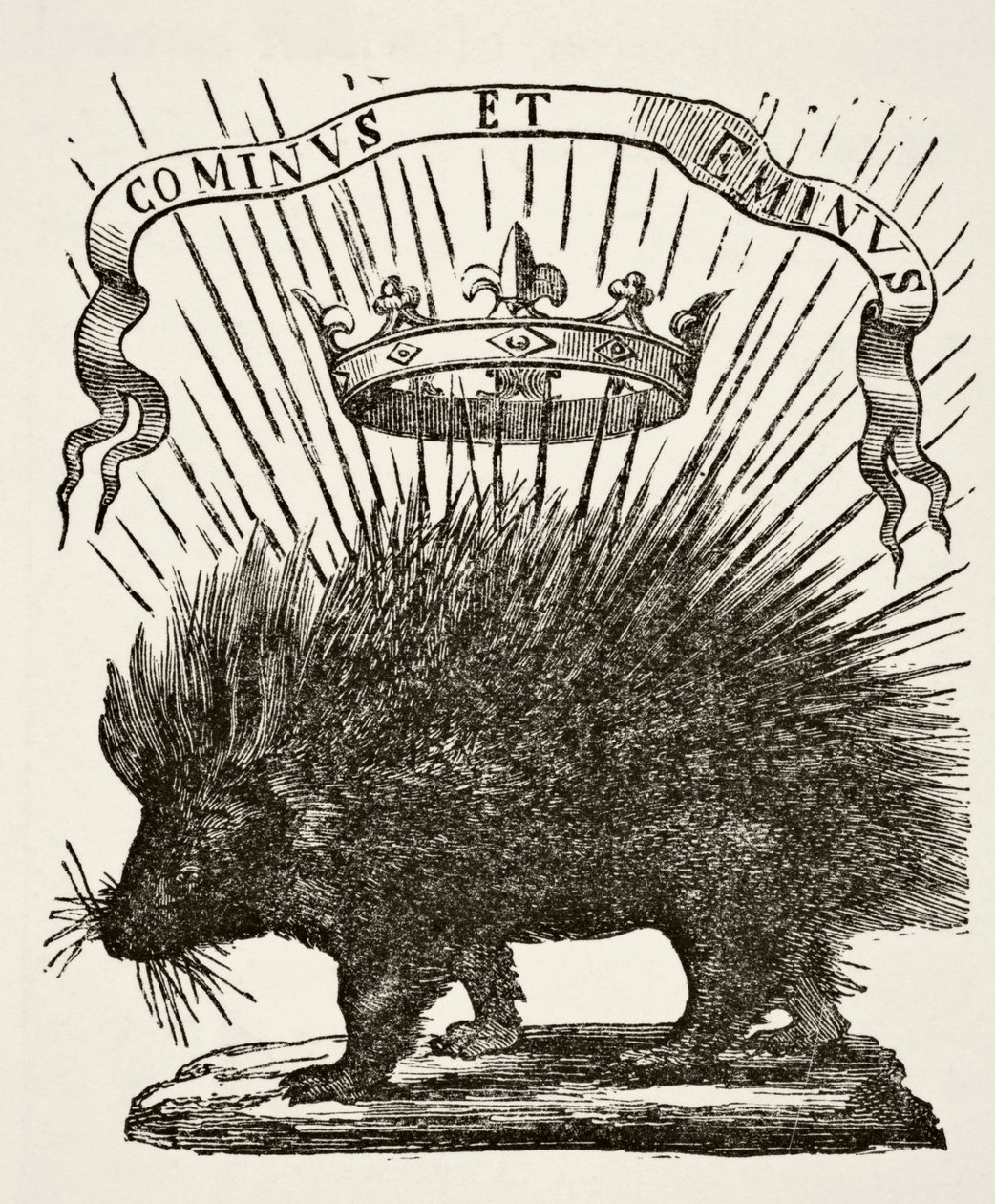 Emblème de Louis XII, 1878 - English School