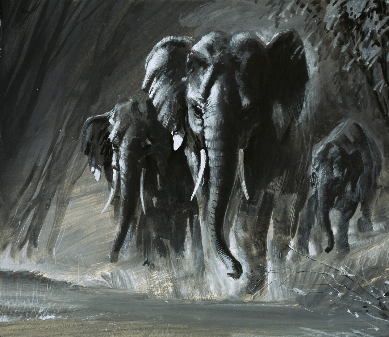 Éléphants - English School