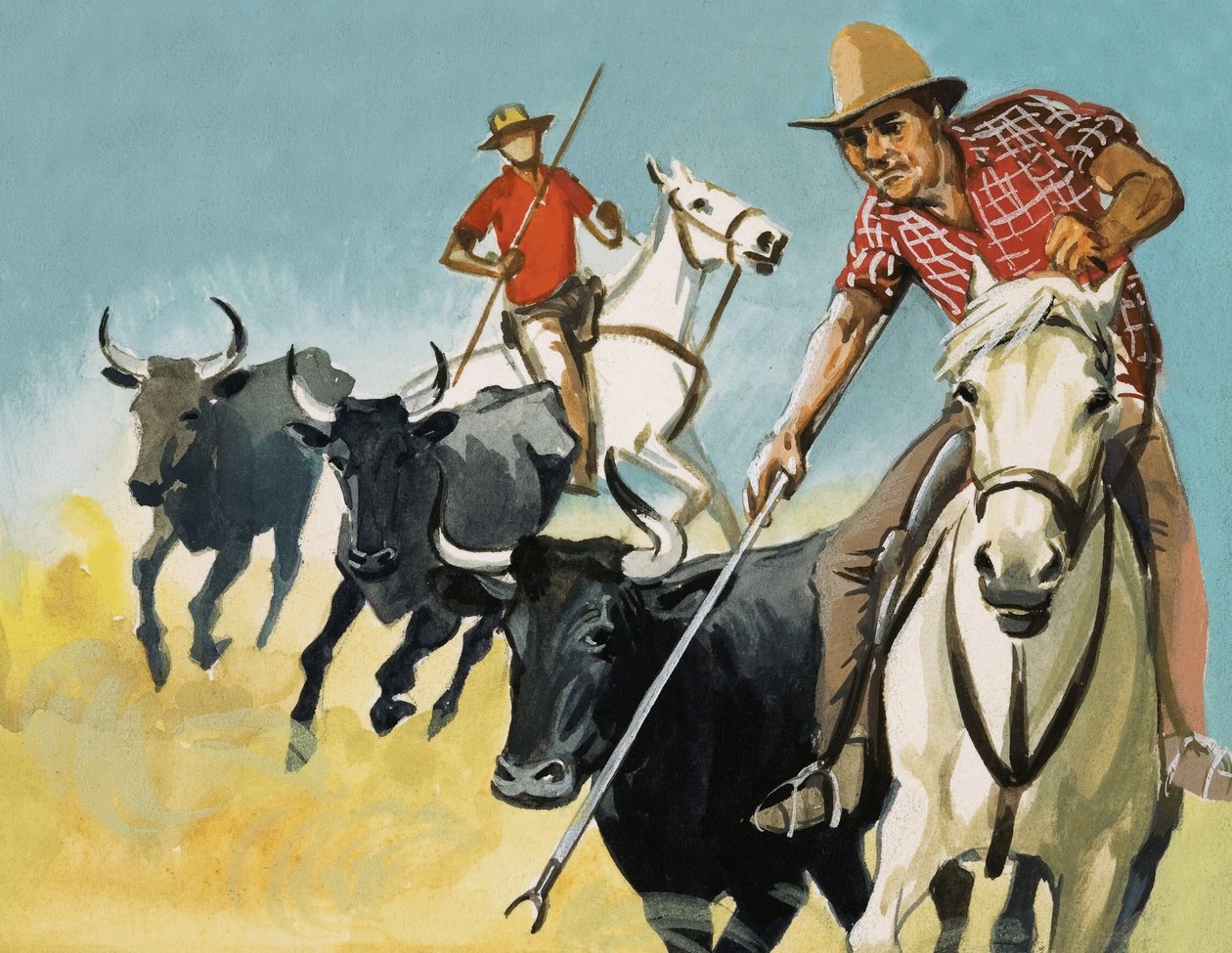 Gardiens de la Camargue - English School