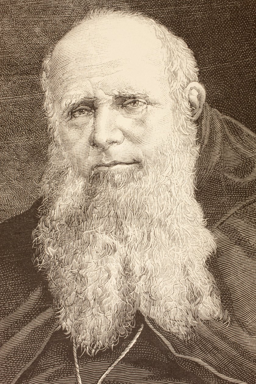 Guglielmo Massaia (lithographie) - English School
