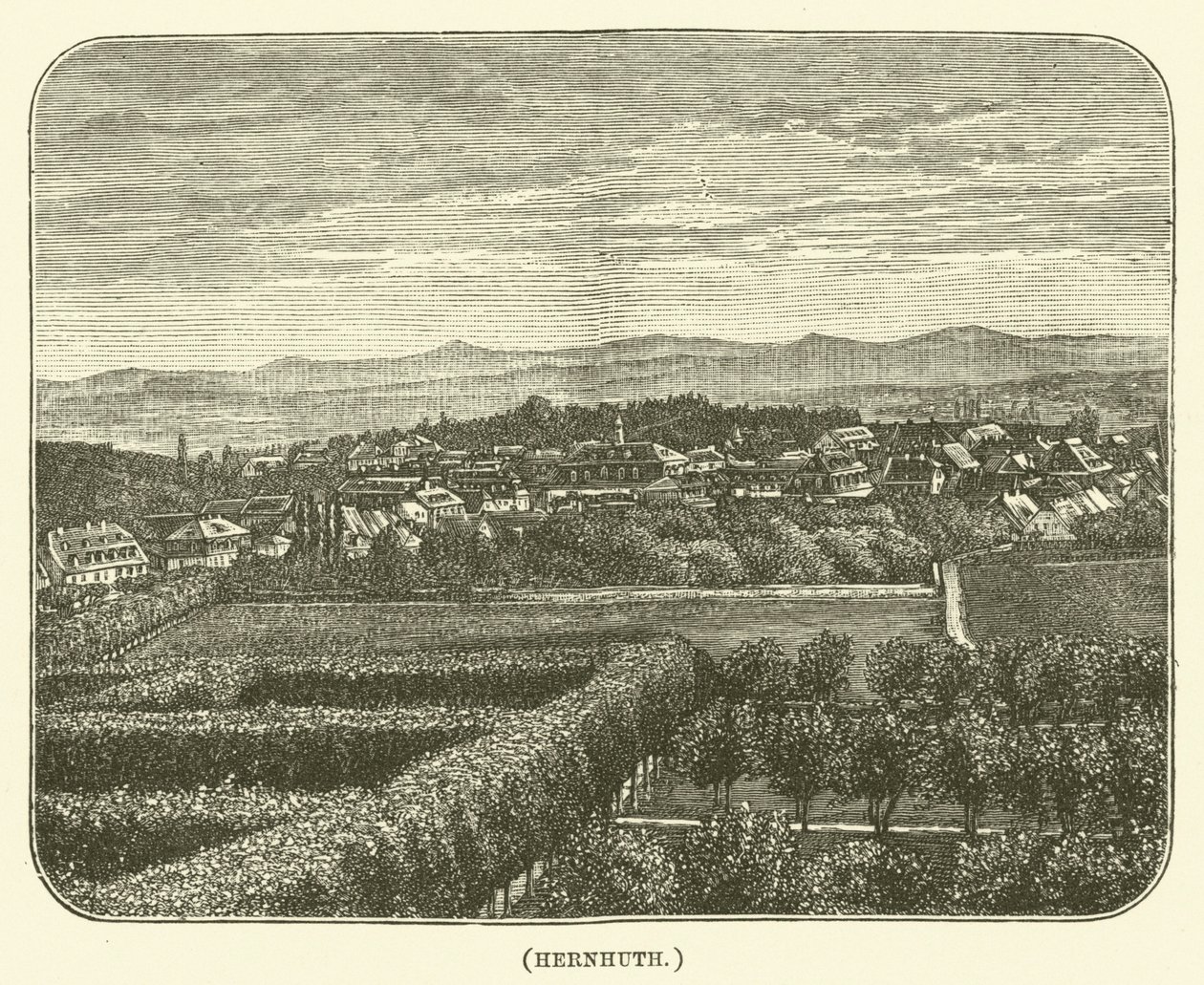 Hernhuth (gravure) - English School