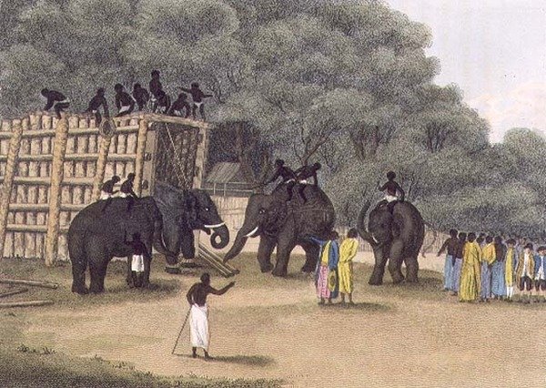 Piège à éléphants hindou, pub. par Edward Orme - English School