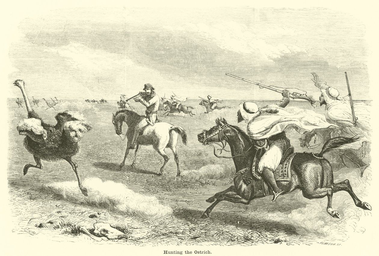 Chasse à l