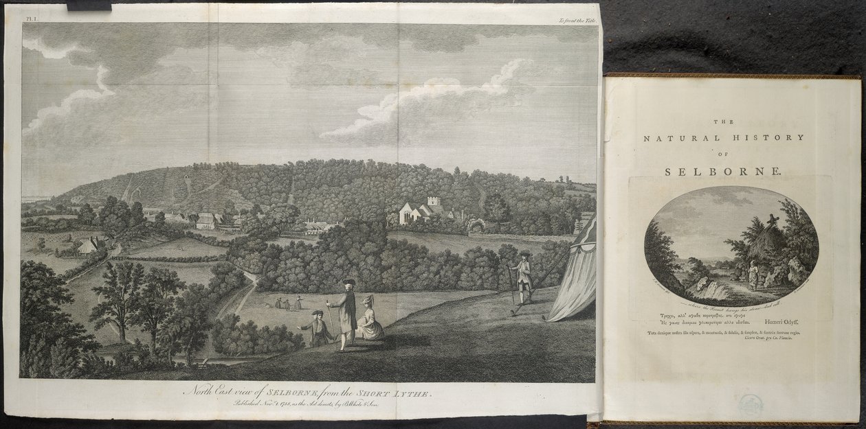Vue nord-est de Selbourne - English School