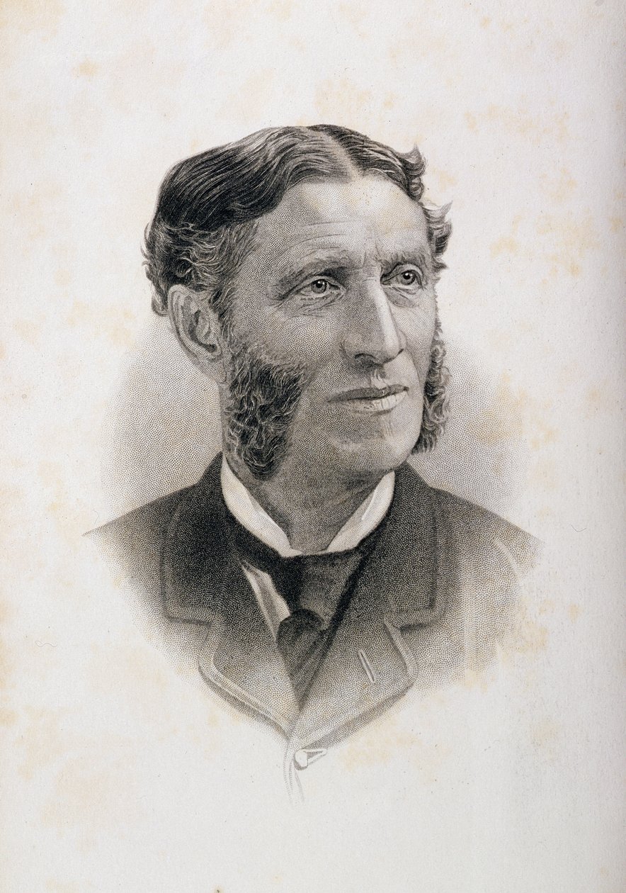Portrait de Matthew Arnold (1822-88) - English School
