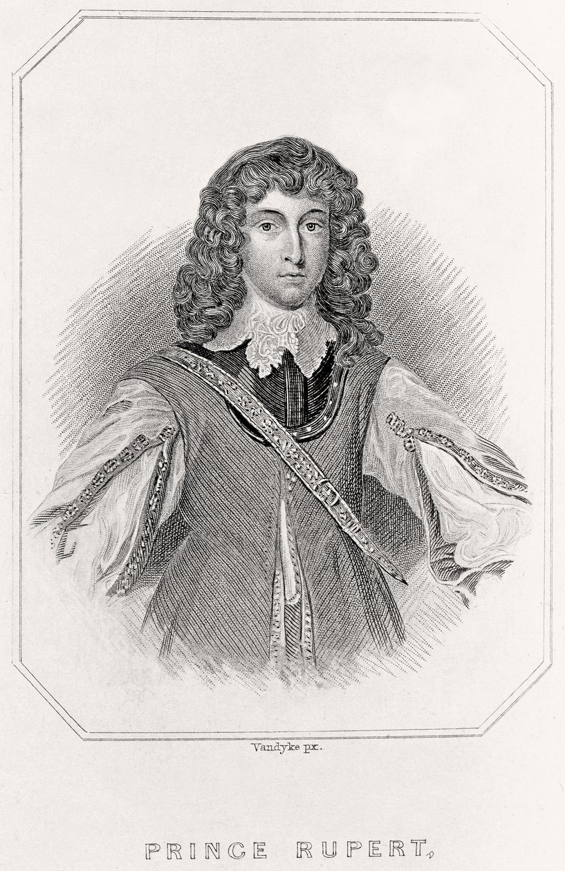 Portrait du prince Rupert, 1835 - English School