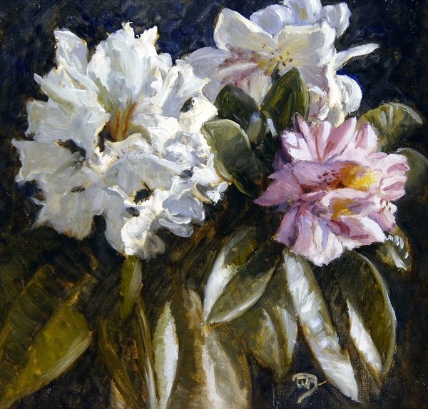 Rhododendron - English School