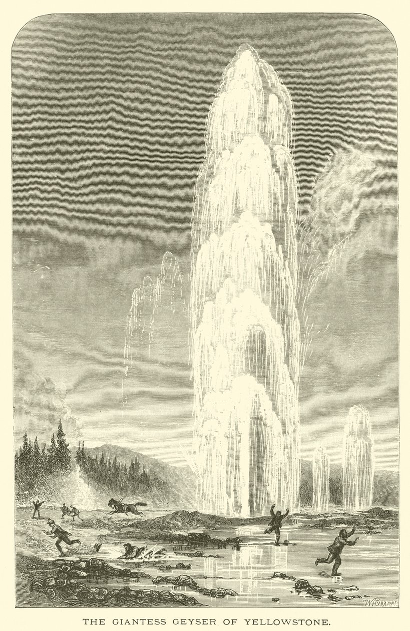 Le geyser géant de Yellowstone - English School