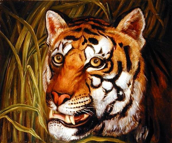 Tigre, tigre brûlant... - English School