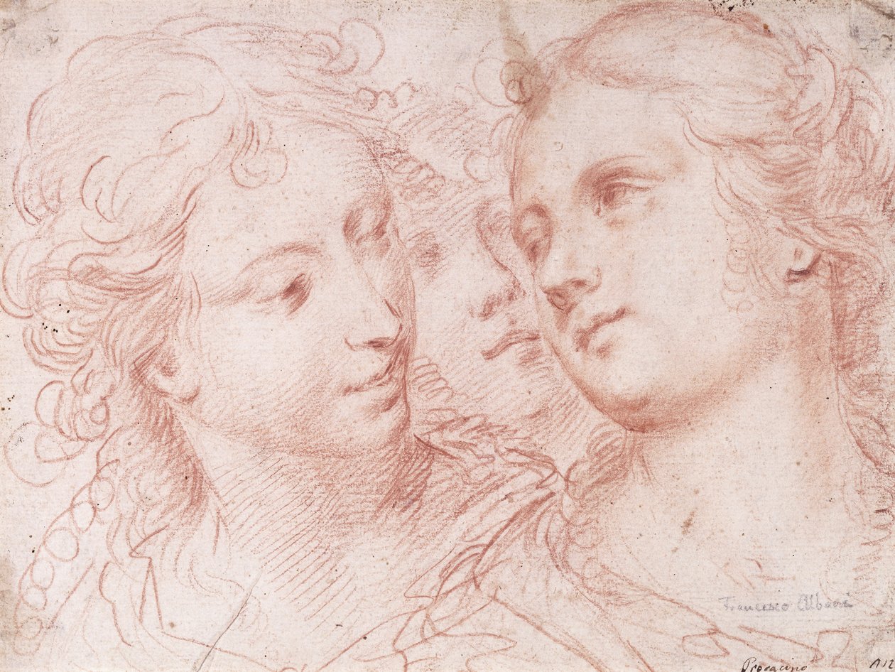 Trois études de têtes féminines - Ercole Procaccini