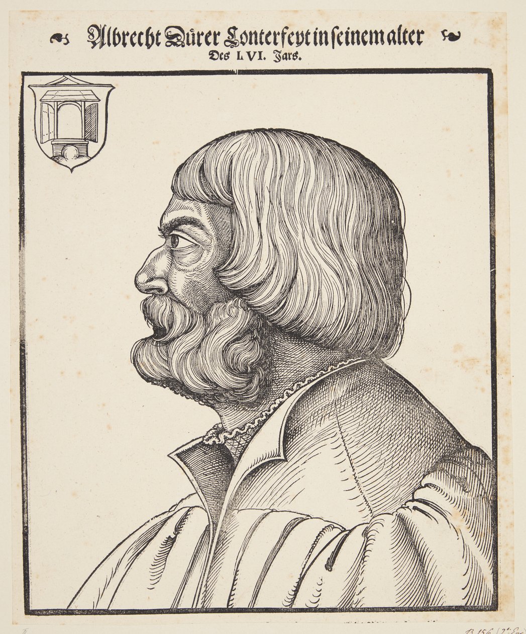 Albrecht Dürer - Erhard Schon