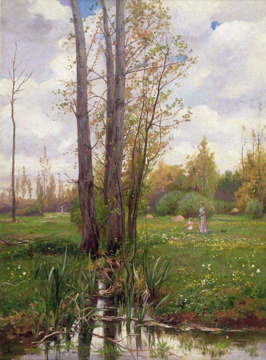 Arbre au bord de l