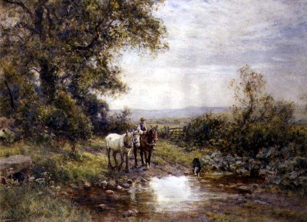 Chevaux près d