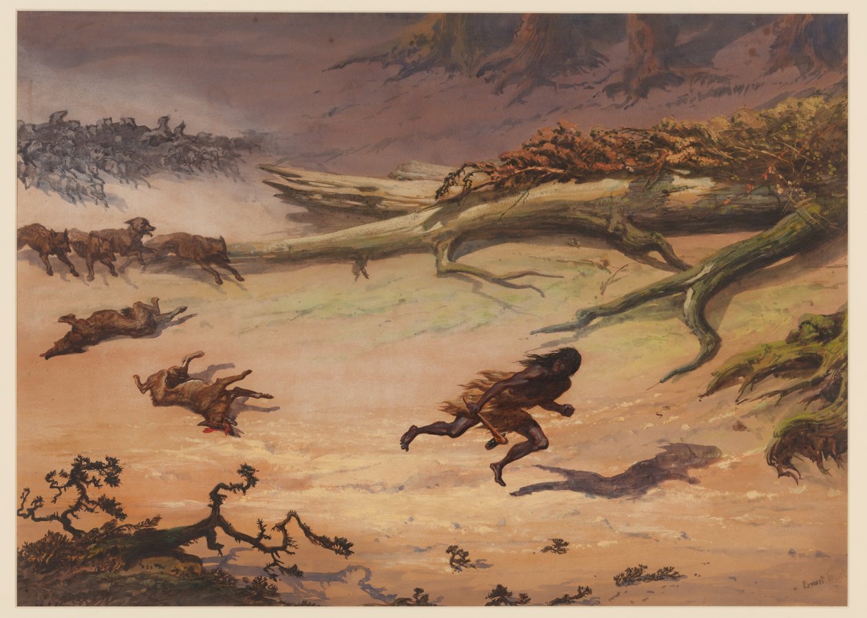 Chasse, 1871 - Ernest Henry Griset