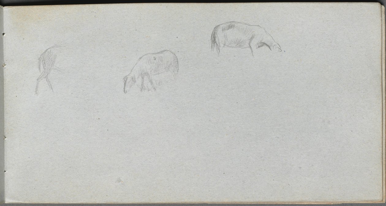 Carnet de croquis, page 20 : Étude d