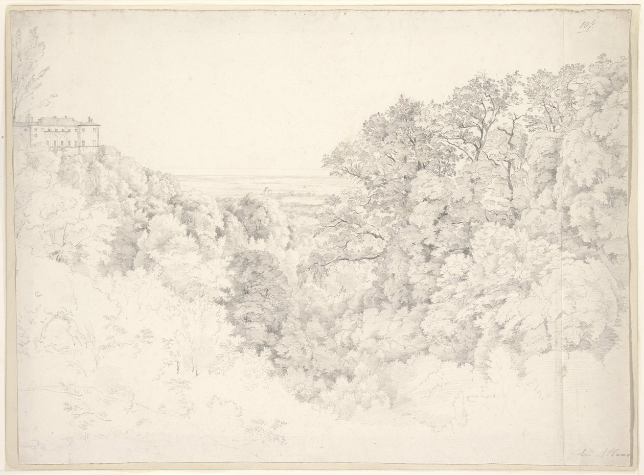 Vue d