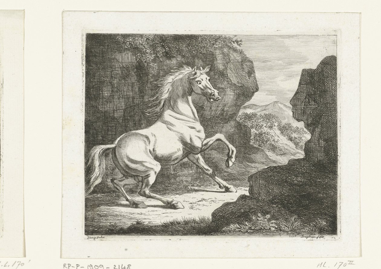 Cheval blanc cabré - Ernst Willem Jan Bagelaar
