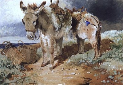 Ânes, 1855 - Erskine Nicol