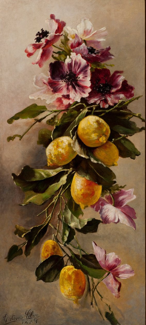 Nature morte - Estevão Silva