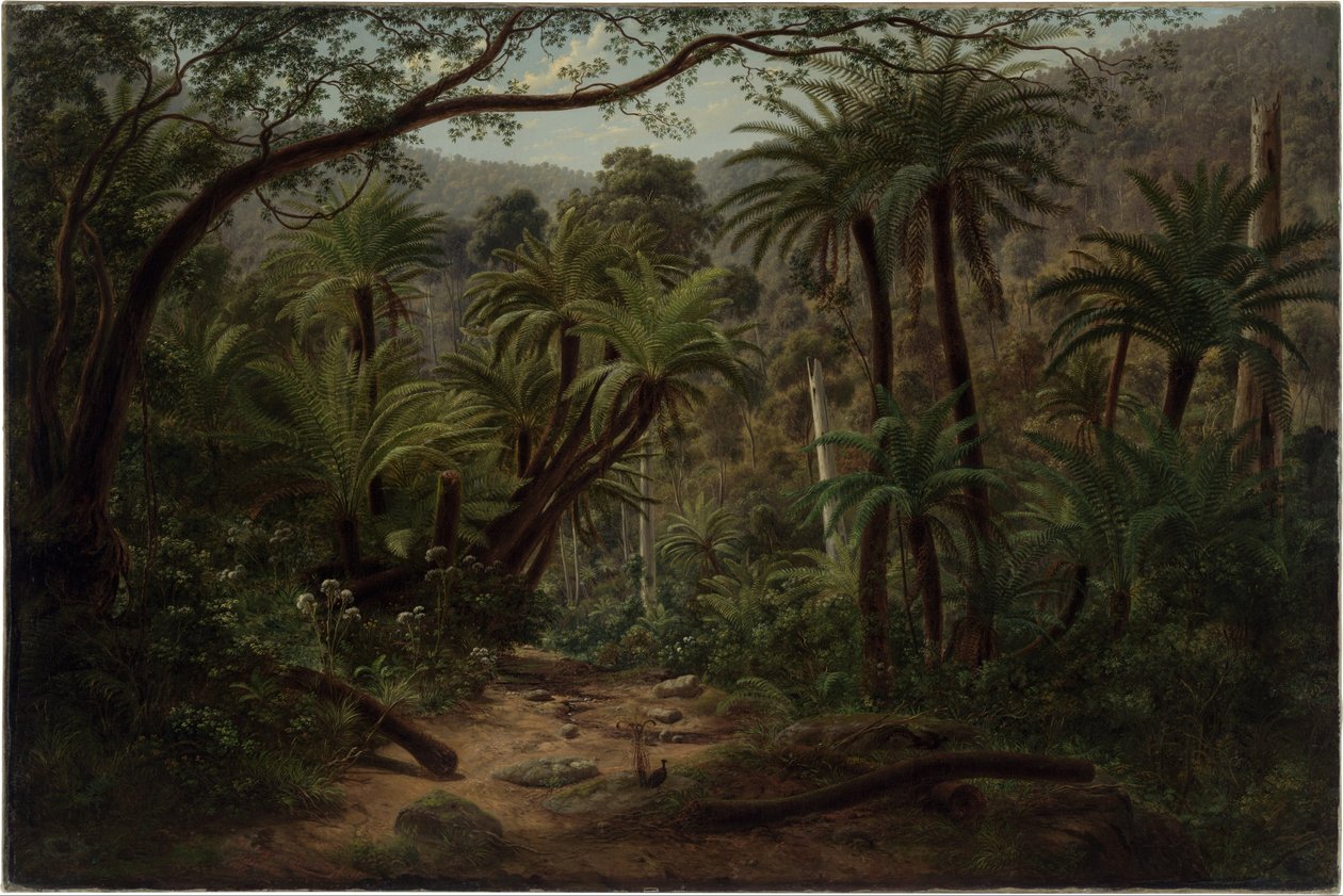 Ferntree Gully dans les Dandenong Ranges - Eugene von Guérard