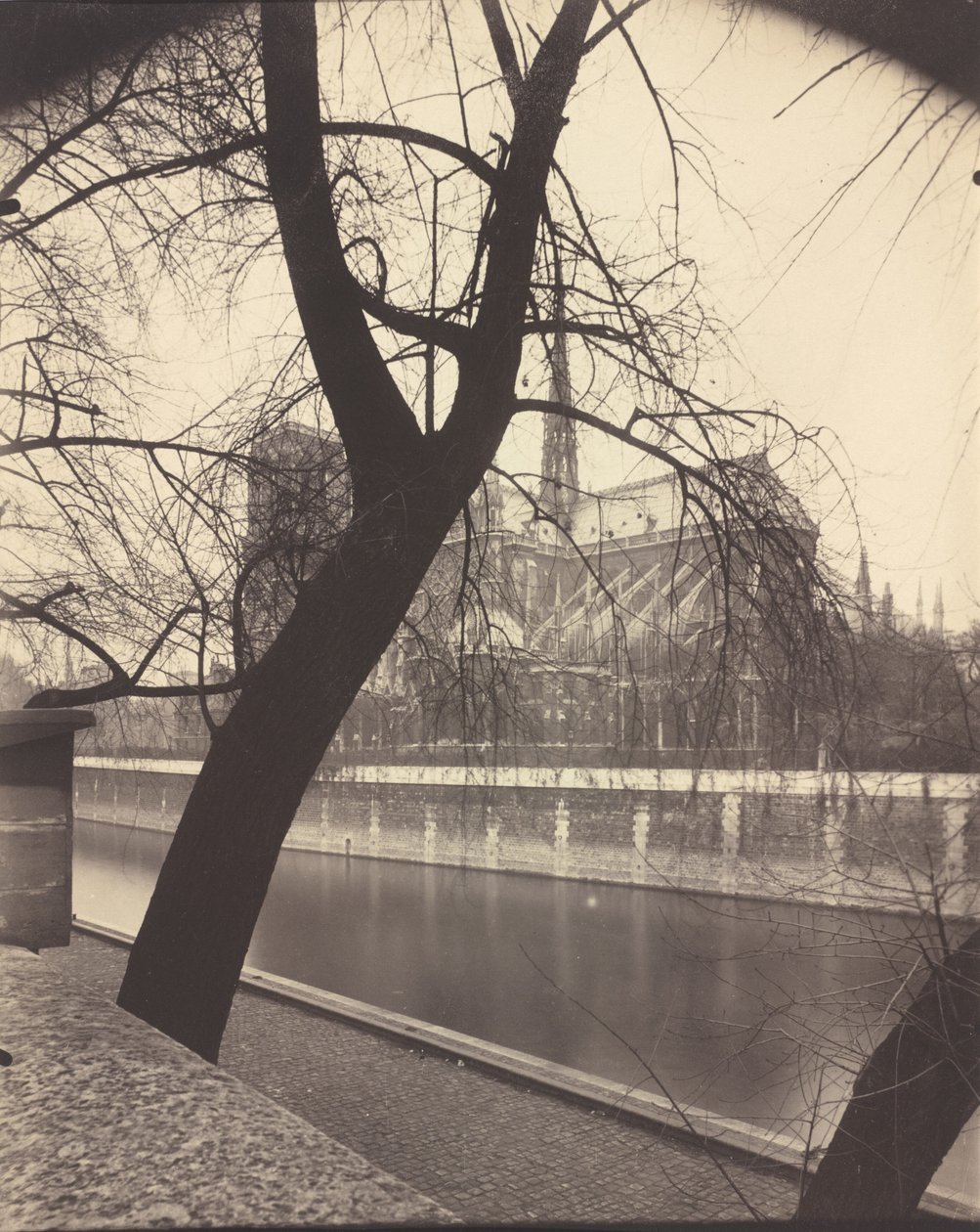 Notre-Dame,1922 (photo) - Eugène Atget