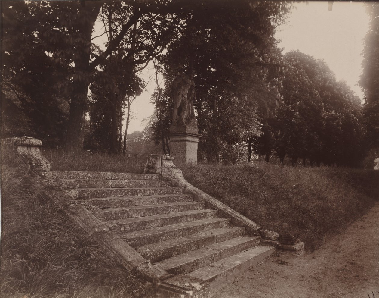 Parc de Sceaux,1925 (photo) - Eugène Atget