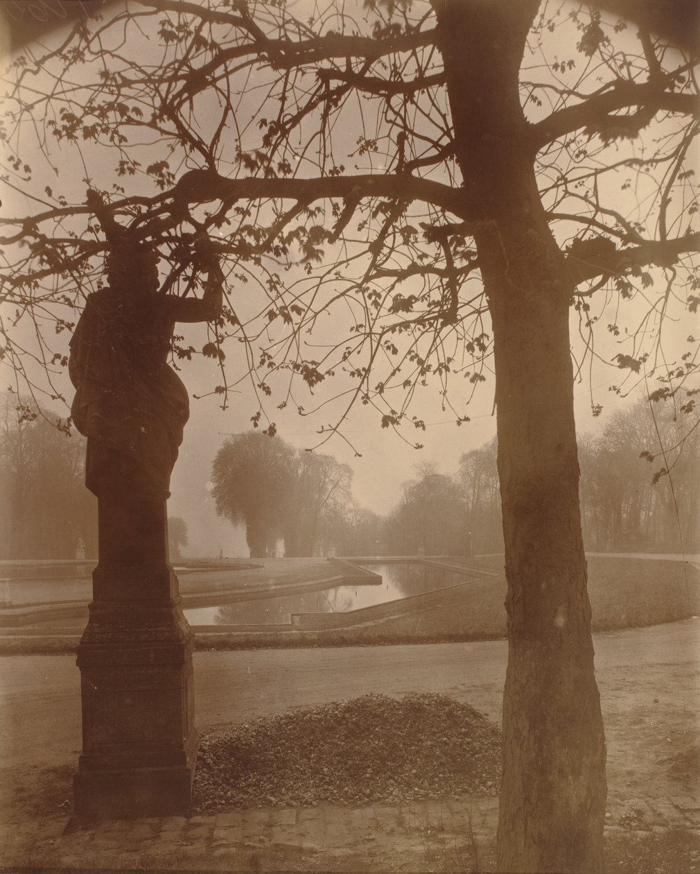 Saint-Cloud,1926 (photo) - Eugène Atget
