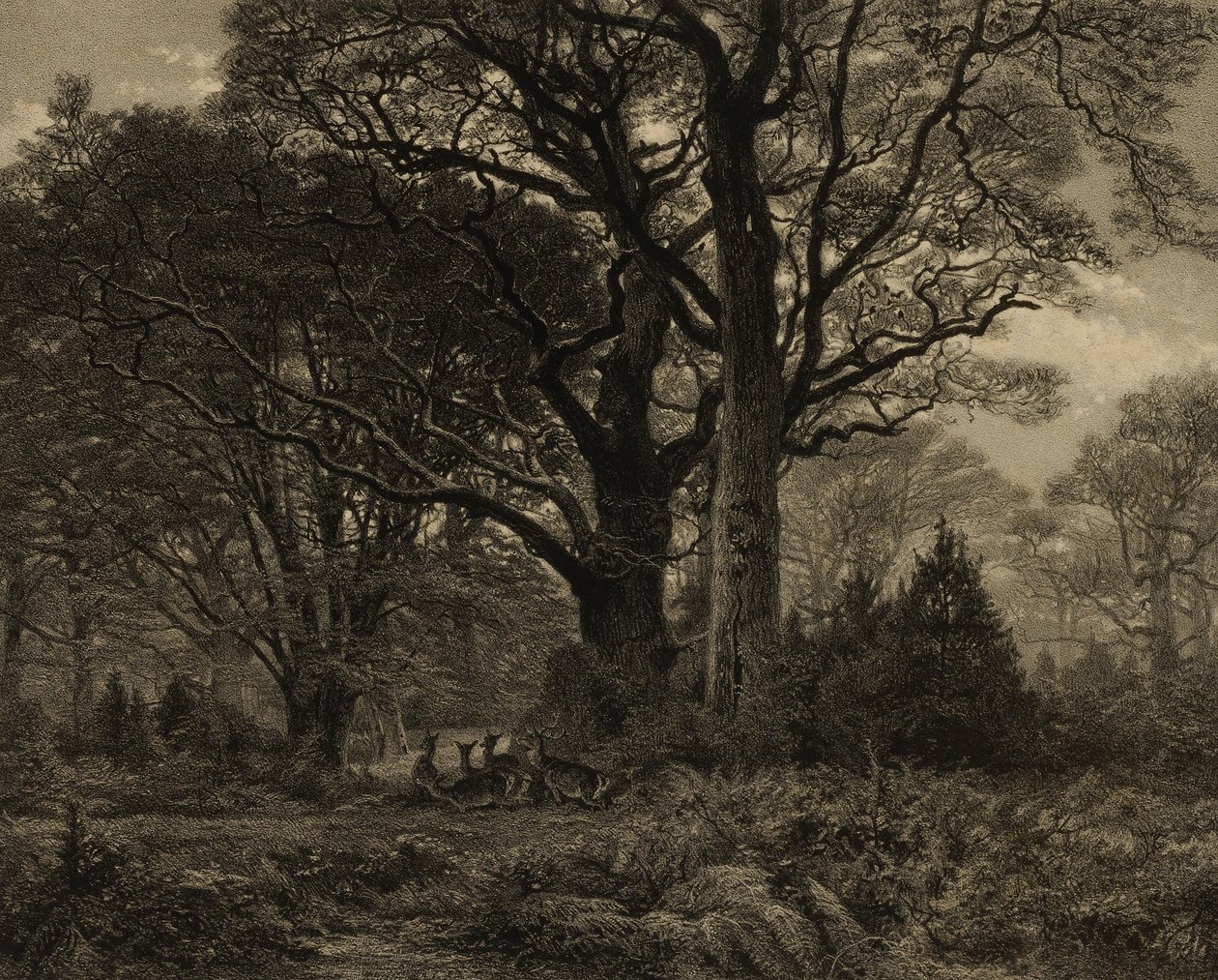 Forêt de Fontainbleau - Eugene Leroux