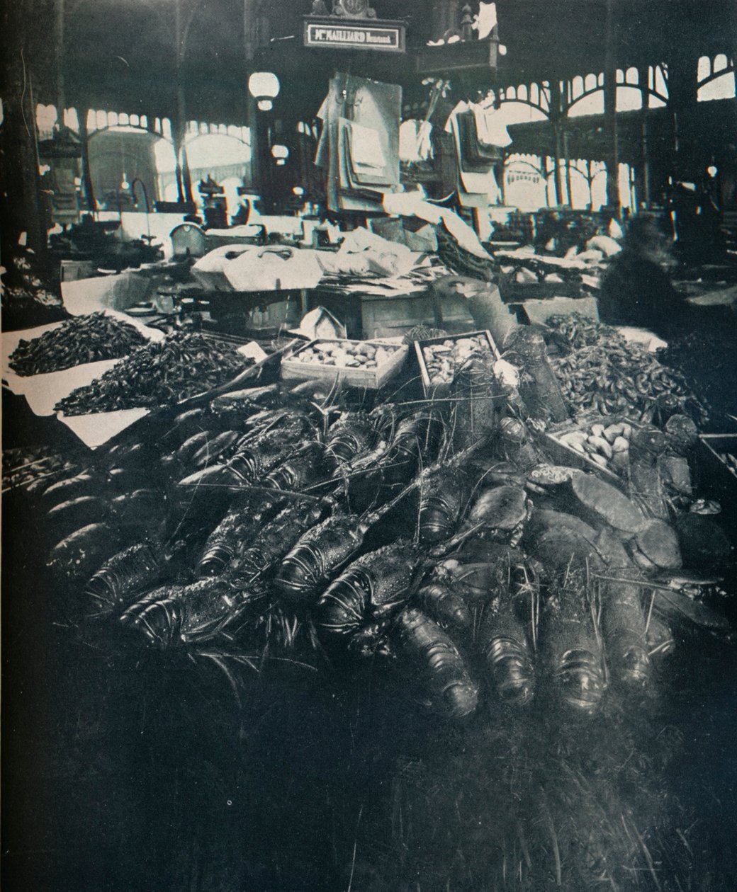 Marché aux poissons - Eugène Atget