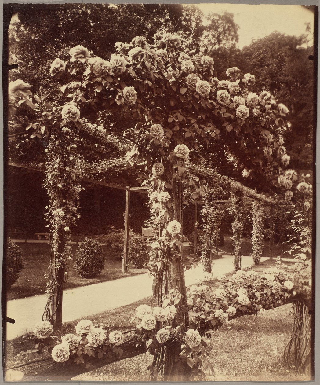 [Jardin de Bagatelle] - Eugène Atget