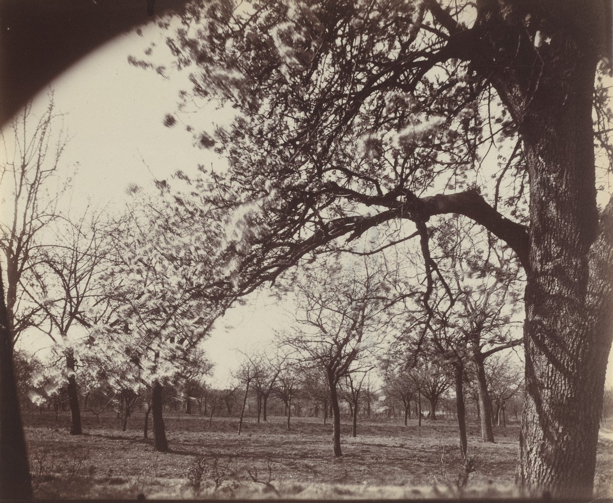 Poirier - Eugène Atget