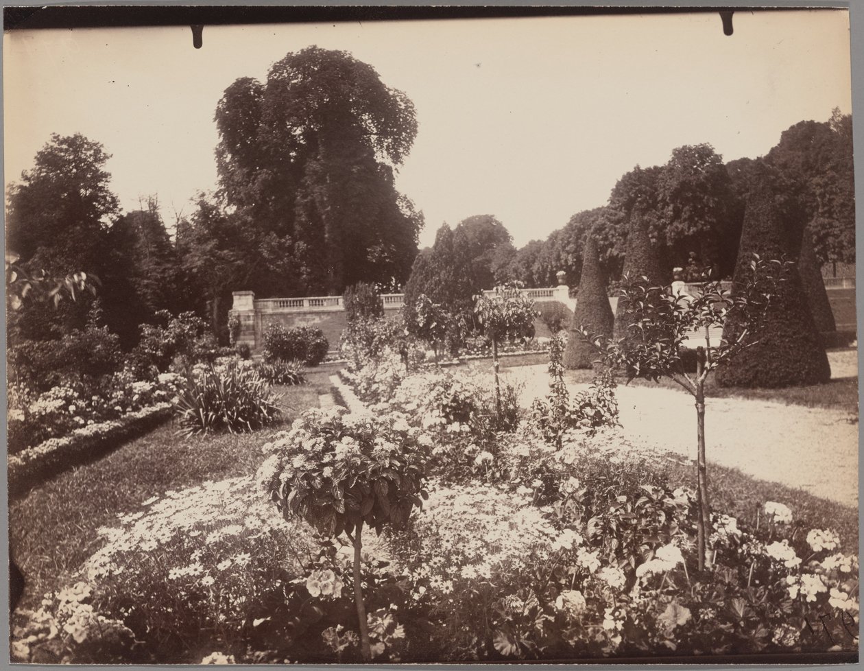Saint-Cloud - Eugène Atget