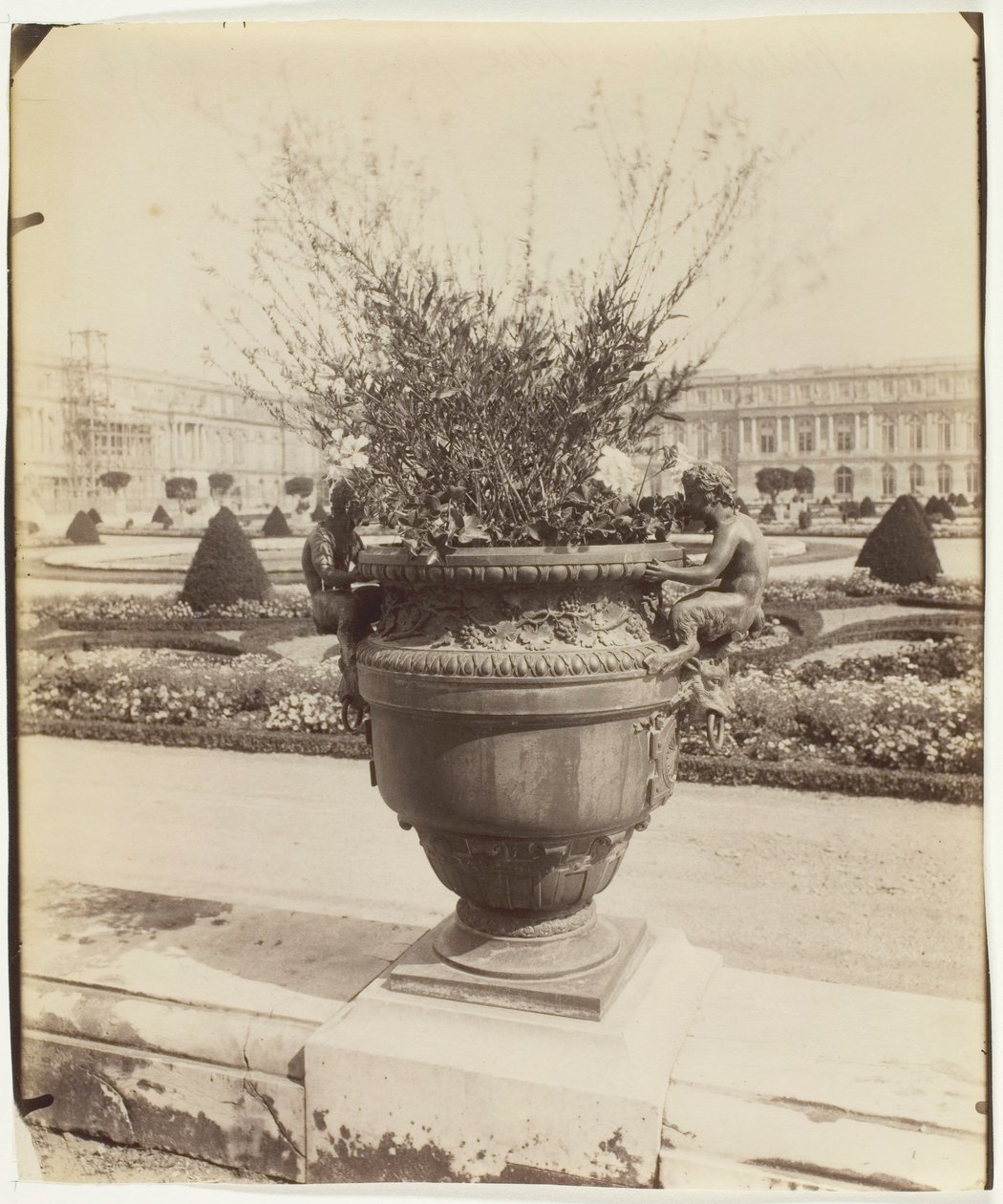 Versailles, Vase par Ballin, 1902 - Eugène Atget